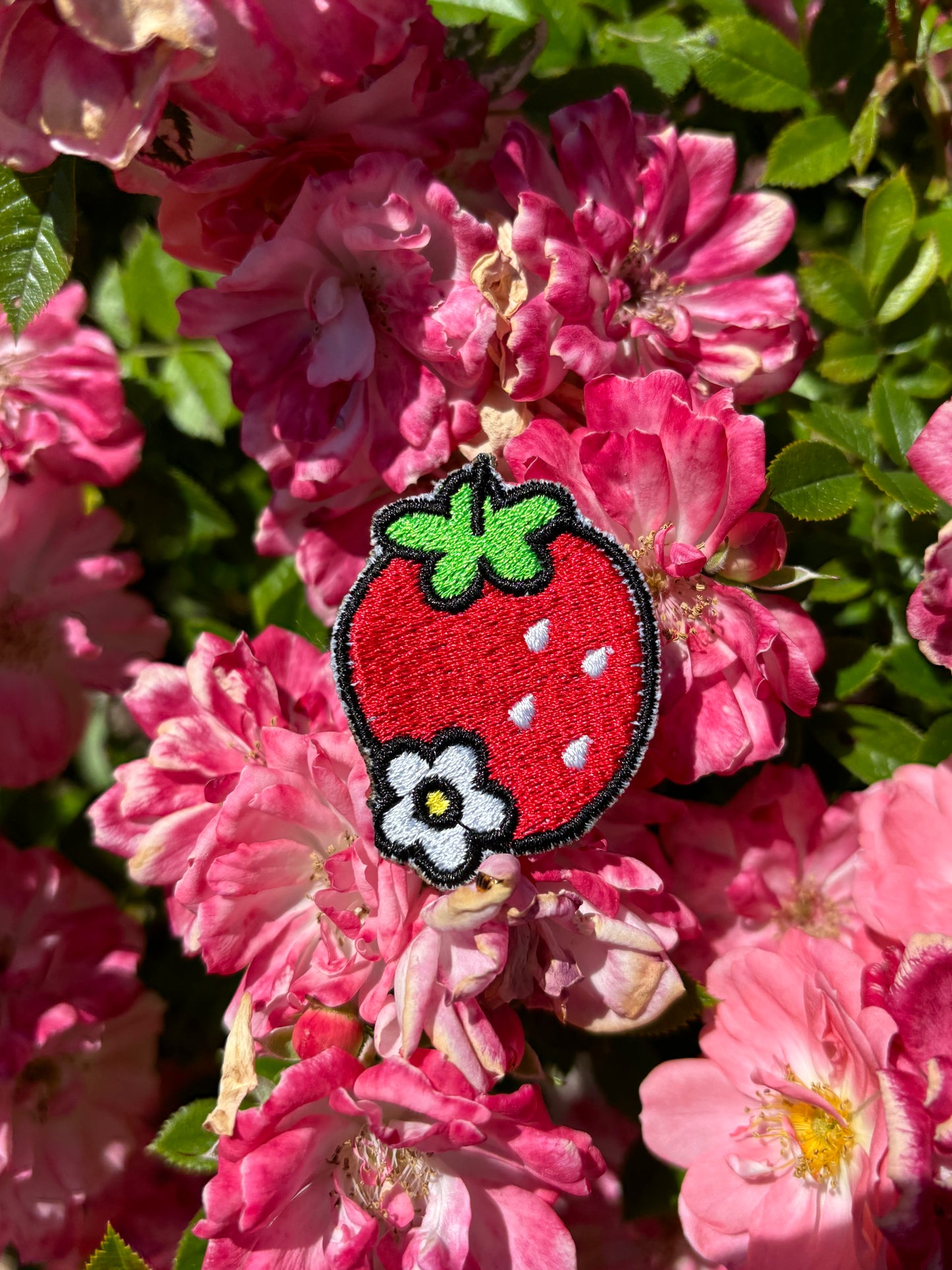 Strawberry