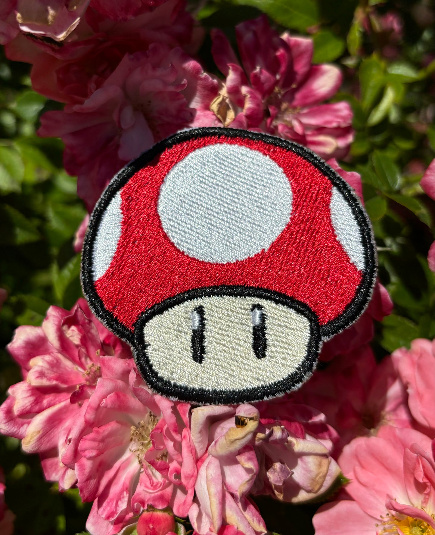 Mushroom Power Up