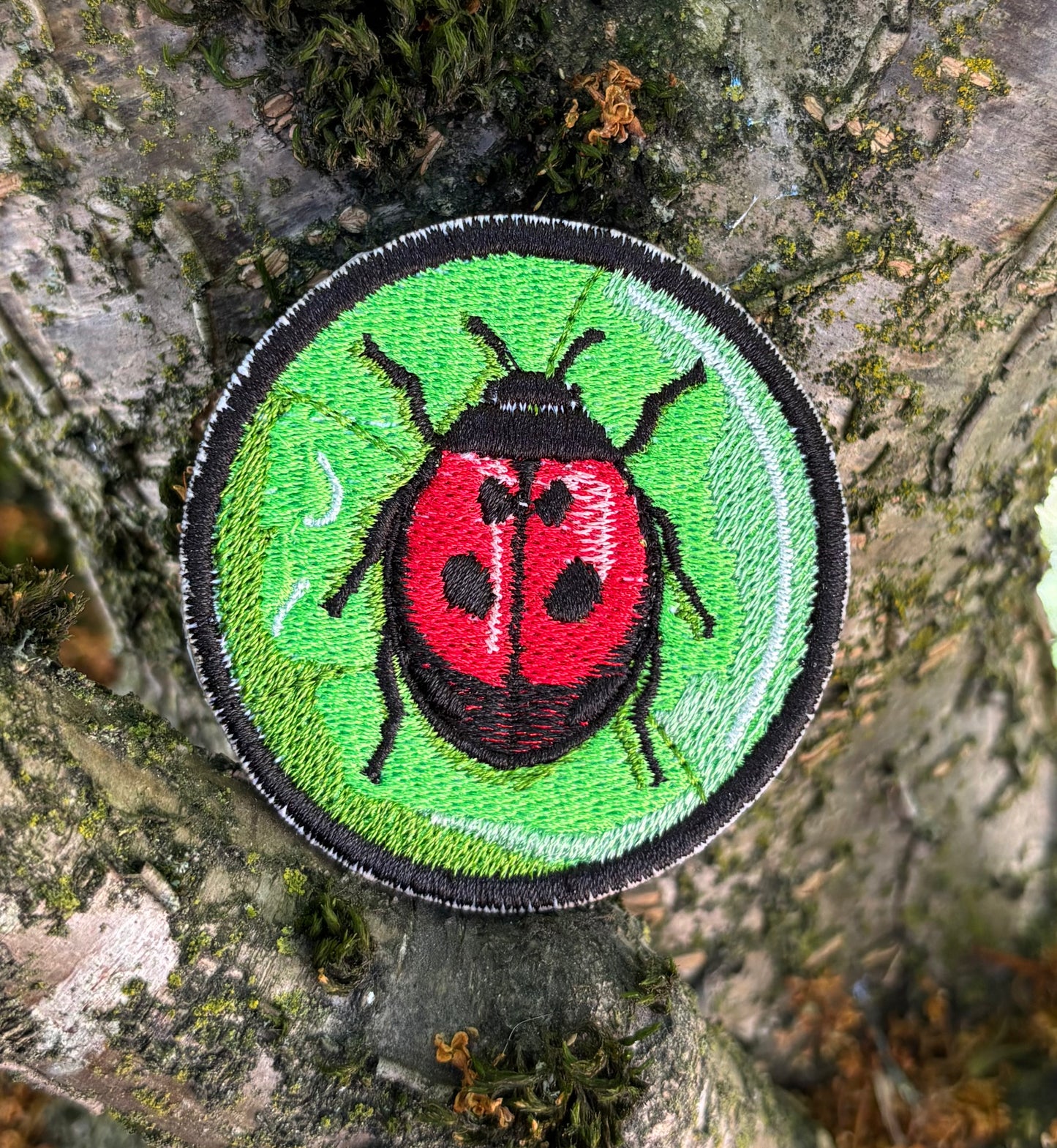 Lady Bug