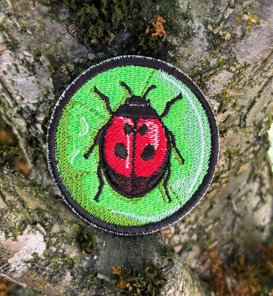 Lady Bug